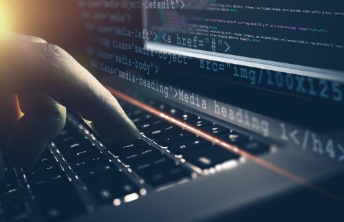 Profesi Software Developer