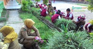 Bentuk Interaksi Dalam Lingkungan