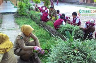 Bentuk Interaksi Dalam Lingkungan