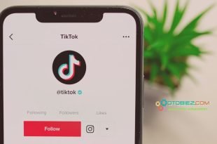 3 Cara Menggunakan Kalkulator Uang TikTok