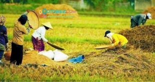Faktor Yang Mempengaruhi Kegiatan Ekonomi Masyarakat