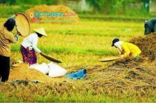 Faktor Yang Mempengaruhi Kegiatan Ekonomi Masyarakat