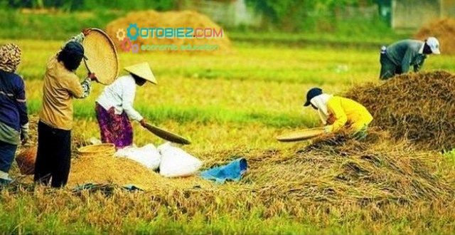Faktor Yang Mempengaruhi Kegiatan Ekonomi Masyarakat