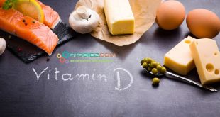 Fungsi Utama Vitamin D