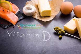 Fungsi Utama Vitamin D