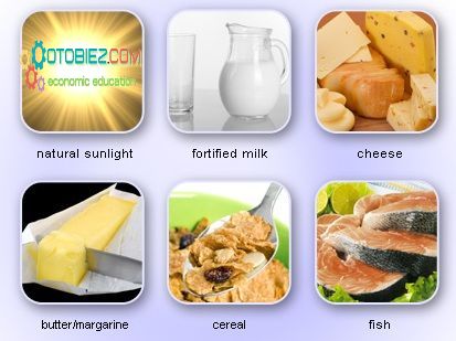 Fungsi Utama Vitamin D