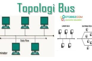 Jenis Konektor Dalam Topologi Bus