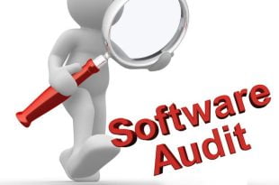 Software Audit