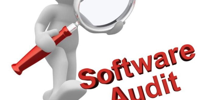 Software Audit