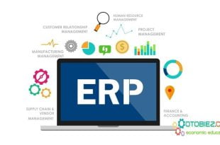 Software ERP Terbaik