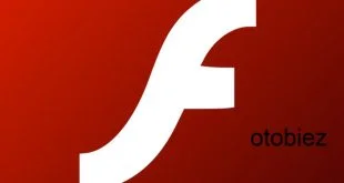 Software Flash