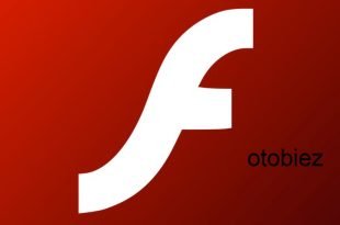 Software Flash