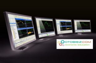 Software Trading Saham