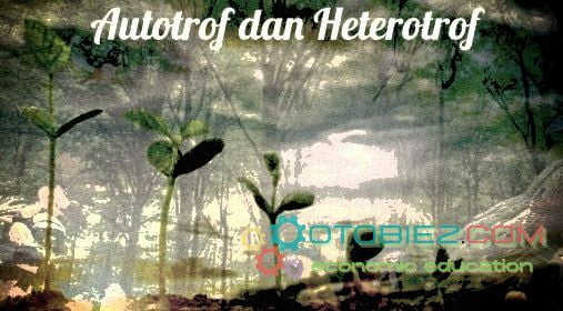 autotrof-dan-heterotrof