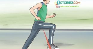 Pengertian Range Of Motion