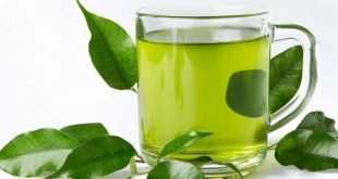 Efek Samping Minum Rebusan Sambiloto Tiap Hari