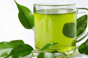 Efek Samping Minum Rebusan Sambiloto Tiap Hari