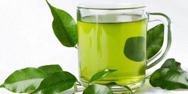 Efek Samping Minum Rebusan Sambiloto Tiap Hari