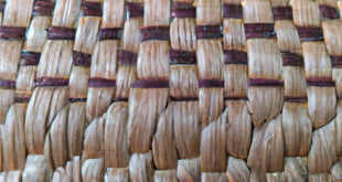 Unsur Seni Rupa: Warna, Bentuk, Tekstur, Ruang, dan Garis