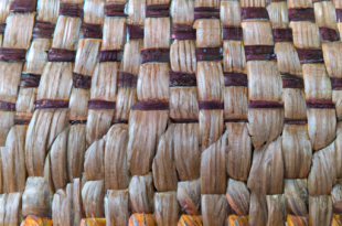 Unsur Seni Rupa: Warna, Bentuk, Tekstur, Ruang, dan Garis