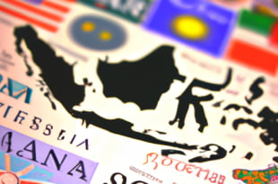 Negara-Negara Anggota ASEAN dan Peranannya dalam Masyarakat Internasional