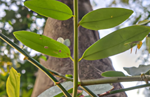 Besaran Pokok: Definisi, Jenis, dan Pengukurannya
