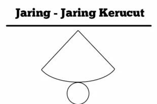 jaring jaring kerucut 0