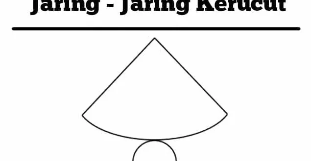 jaring jaring kerucut 0