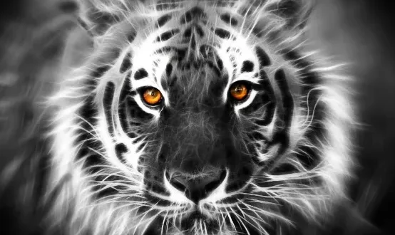 khodam macan putih 0