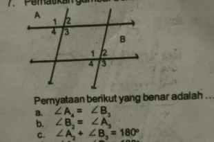 pernyataan berikut yang benar adalah 0