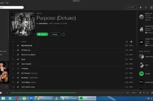 spotify mod pc 0