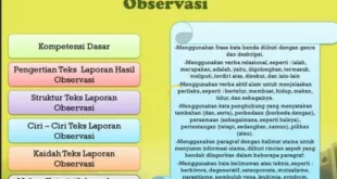 teks laporan hasil observasi 0