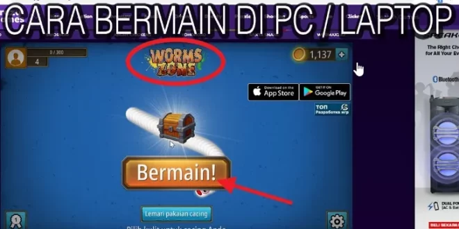 worm zone pc 0