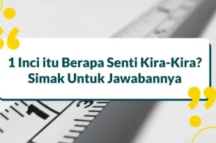 1 inci itu berapa senti sih 0