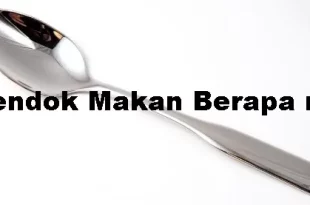 1 sendok makan berapa ml 0