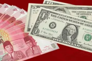 3000 dollar berapa rupiah 0