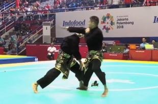 Teknik Bertahan Dalam Pencak Silat