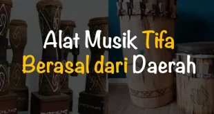 alat musik tifa berasal dari daerah 0