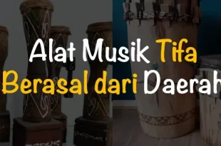 alat musik tifa berasal dari daerah 0