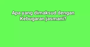 apa yang dimaksud dengan kebugaran jasmani 0