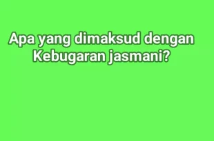 apa yang dimaksud dengan kebugaran jasmani 0