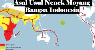 asal usul nenek moyang bangsa indonesia 0