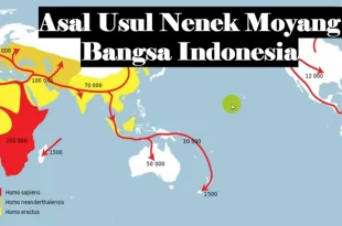 asal usul nenek moyang bangsa indonesia 0