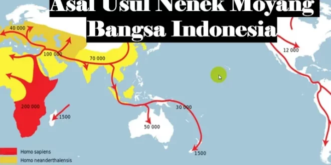 asal usul nenek moyang bangsa indonesia 0
