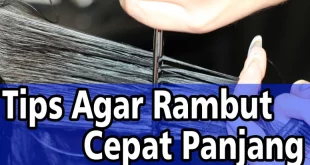 cara agar rambut cepat panjang 0