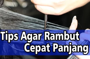 cara agar rambut cepat panjang 0