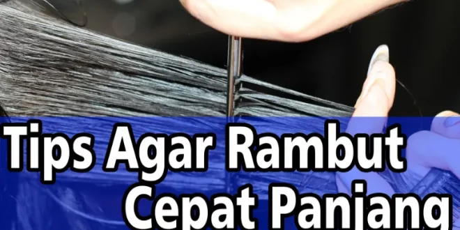 cara agar rambut cepat panjang 0