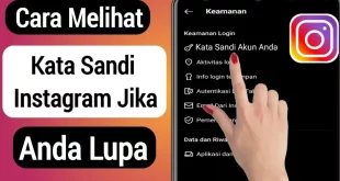 cara melihat kata sandi ig 0