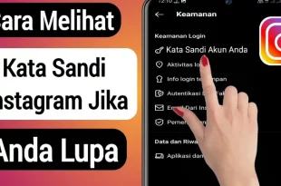 cara melihat kata sandi ig 0