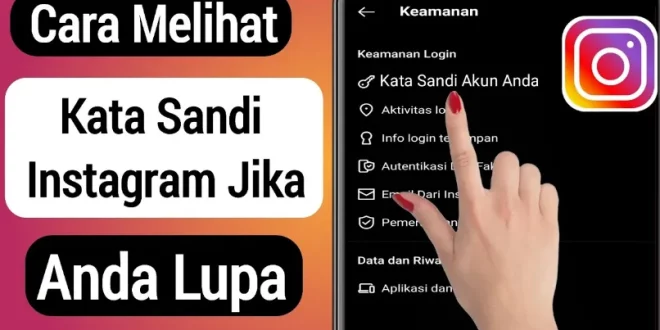 cara melihat kata sandi ig 0